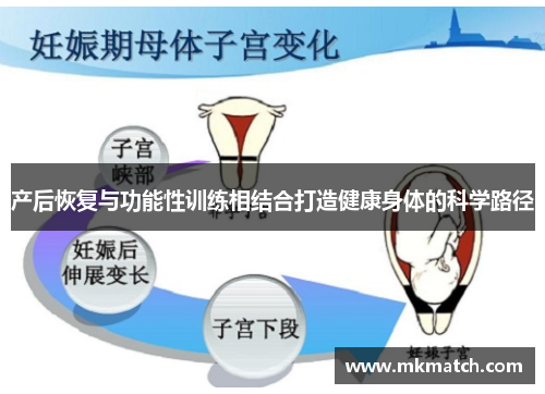 产后恢复与功能性训练相结合打造健康身体的科学路径