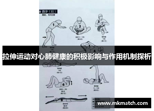 拉伸运动对心肺健康的积极影响与作用机制探析